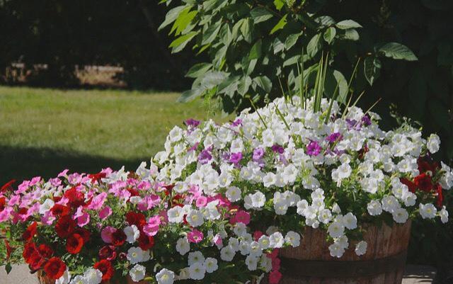 Paola Beauty Farm B&B And Day Spa Dalroy Exterior foto