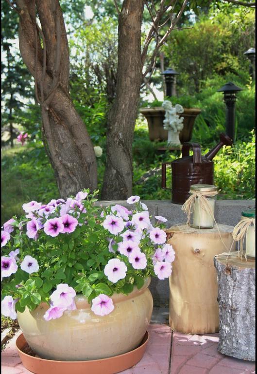 Paola Beauty Farm B&B And Day Spa Dalroy Exterior foto